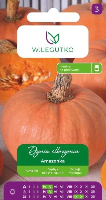 Dynia olbrzymia amazonka nasiona xxl (2).jpg