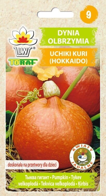Dynia olbrzymia HOKKAIDO - UCHIKI KURI nasiona (2).jpg