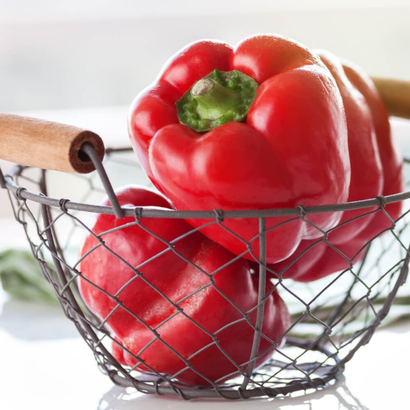 papryka czerwona Roberta 4.jpg