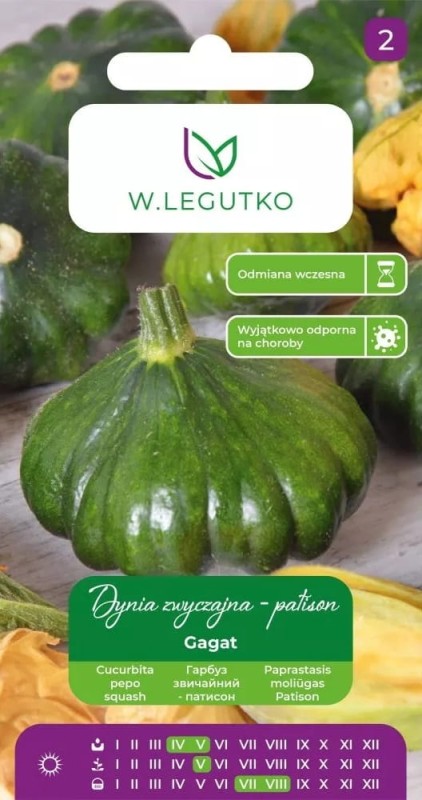 Patison zielona gagat nasiona xl (2).jpg