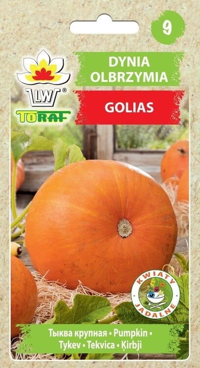 Dynia olbrzymia GOLIAS nasiona (2).jpg