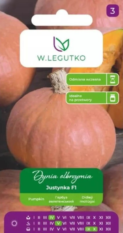 Dynia olbrzymia justynka nasiona (2).jpg