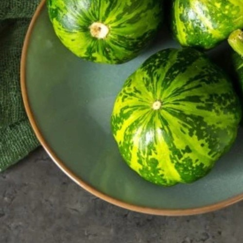 Patison zielony GAGAT nasiona XL 100g