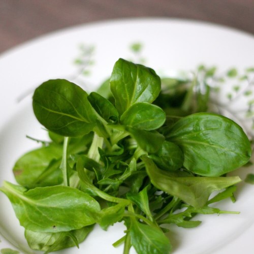 Roszponka Verte De Cambrat nasiona 1g