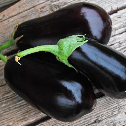 Oberżyna Bakłażan Black Beauty nasiona 1g