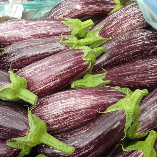 Oberżyna Bakłażan Tsakoniki nasiona 0,5g