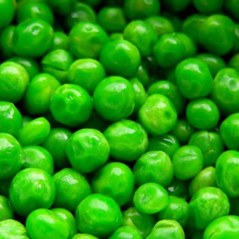 Groch Łuskowy - Zielony Groszek- Telefon nasiona (3).jpg