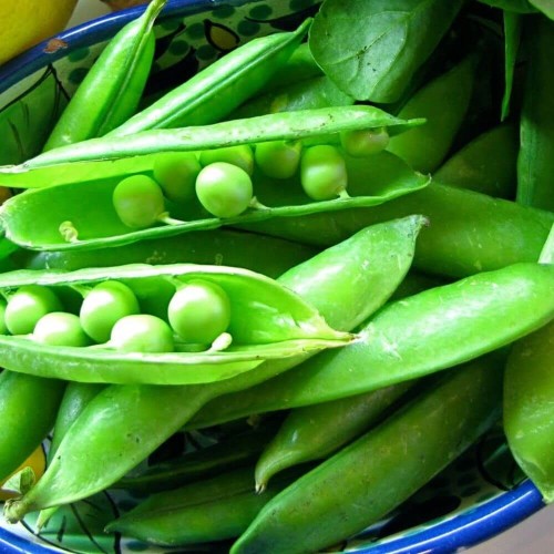 Groch łuskowy zielony groszek Telefon nasiona XXL 500g