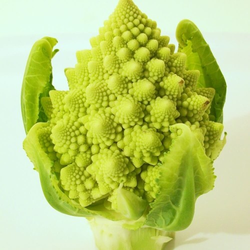 Kalafior Romanesco Zielony nasiona 1g