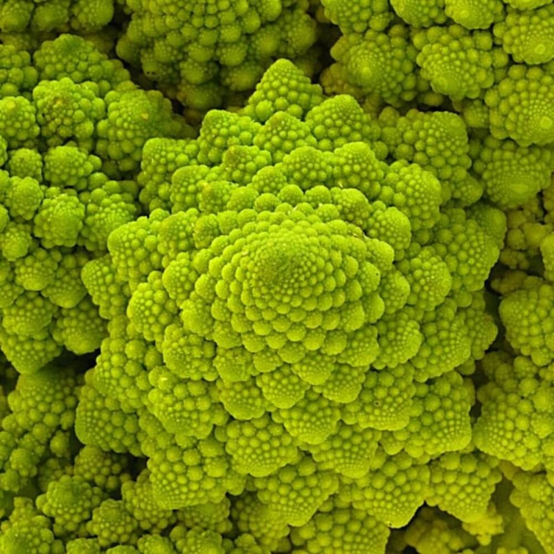 Kalafior Romanesco Zielony nasiona (3).jpg
