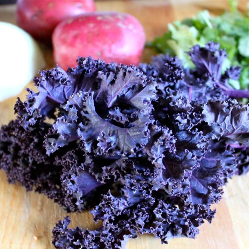 Jarmuż Scarlet Purpurowy nasiona 1g