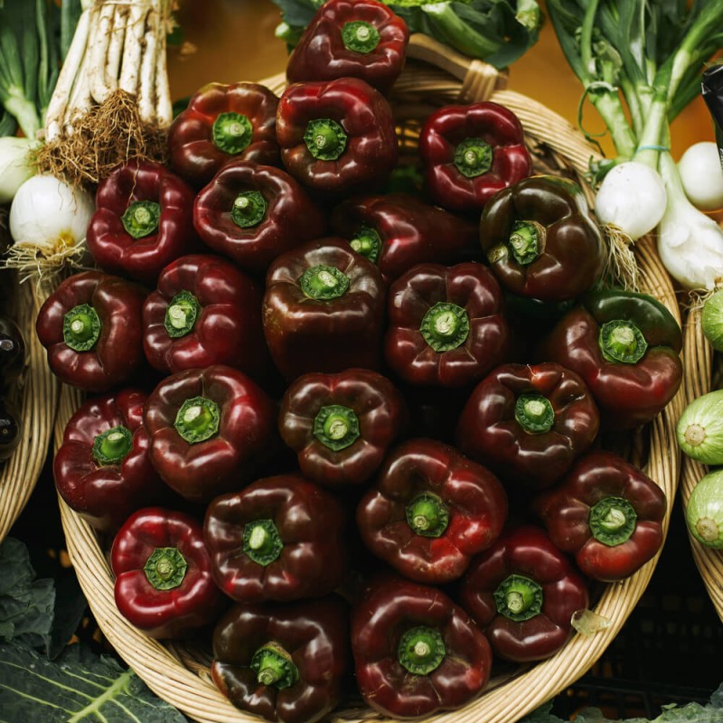 Papryka słodka Sweet Chocolate 1 (1).jpg