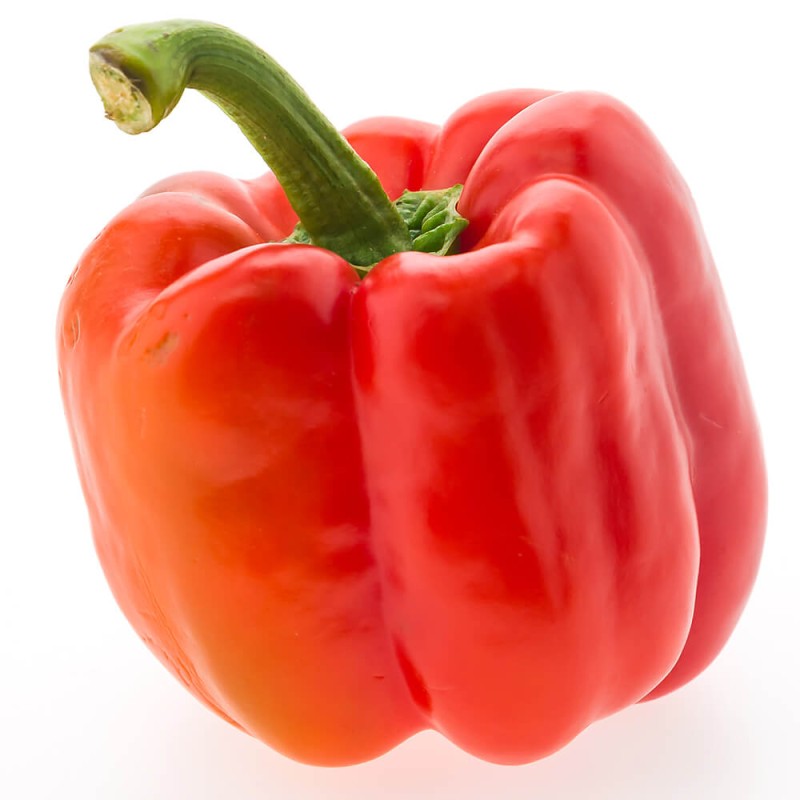 Papryka słodka Roberta (11).jpg