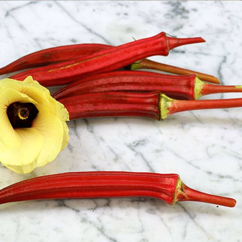 Okra, Ketmia Jadalna Burgundy nasiona (3).jpg