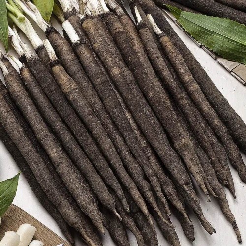 Skorzonera Duplex nasiona 3G