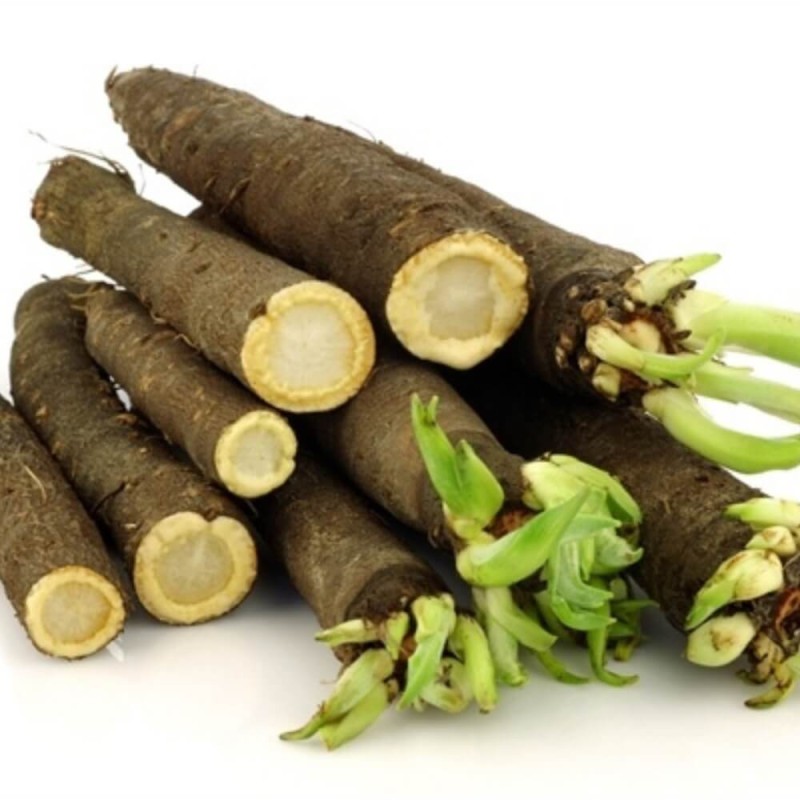 Skorzonera Duplex nasiona (3).jpg