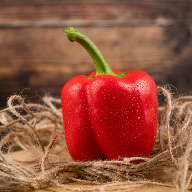 Papryka słodka Roberta (12).jpg