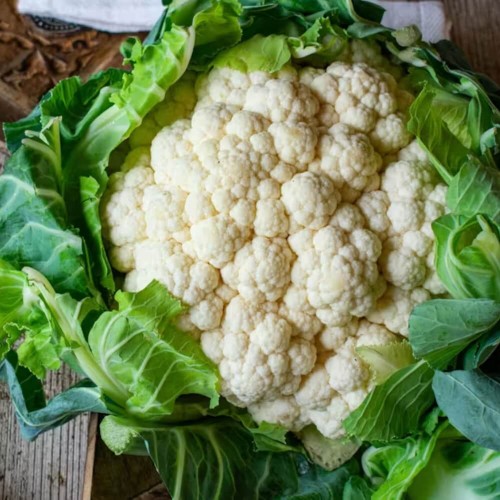 Kalafior Rober biały nasiona 1g