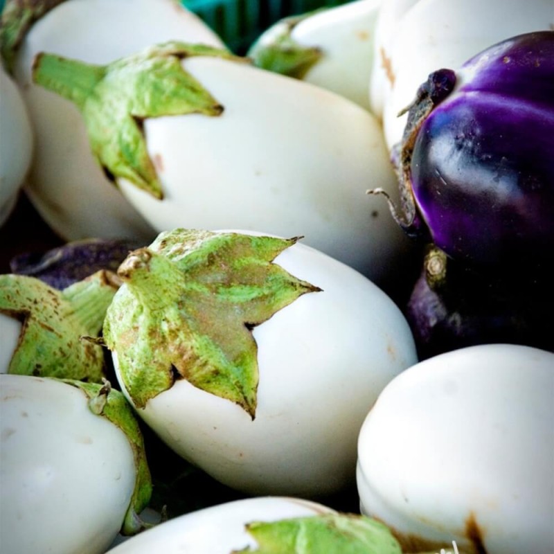 Oberżyna, Mieszanka Odmian nasiona (3).jpg