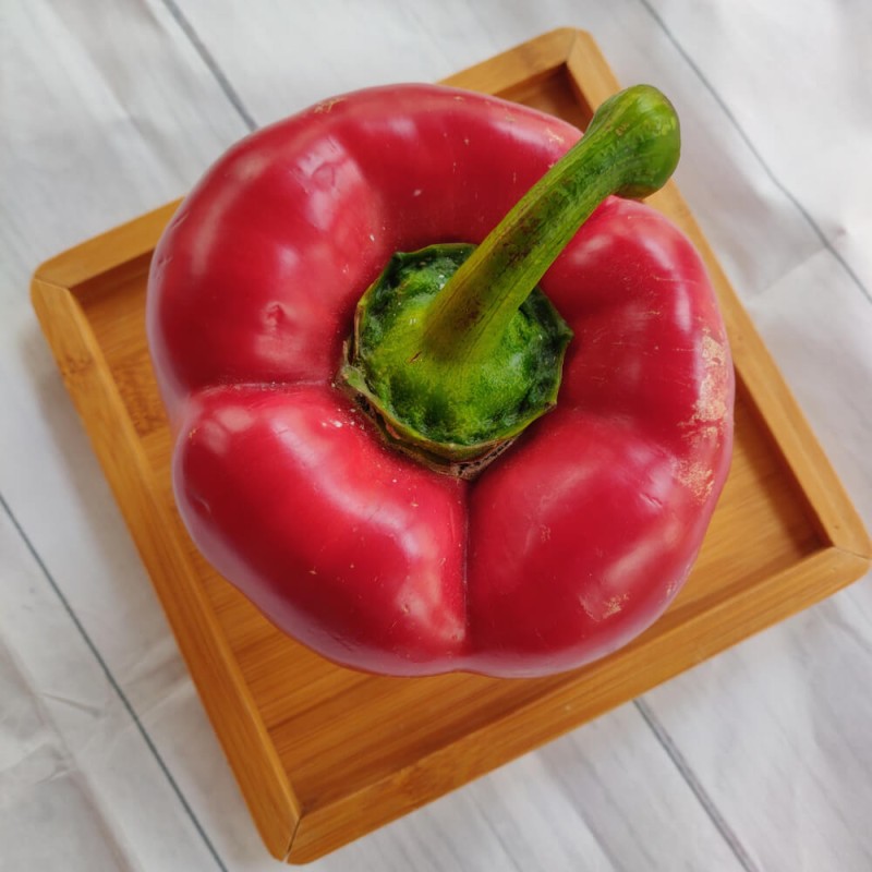 Papryka słodka Roberta (9).jpg