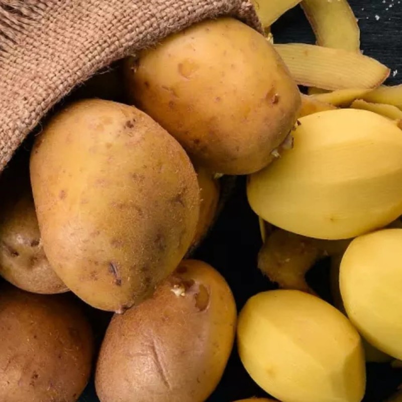 Ziemniak Sadzeniak Solhy nasiona (3).jpg