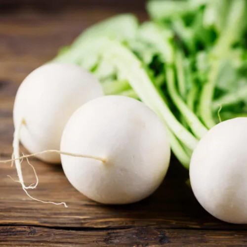 Rzepa Jadalna Snowball nasiona 5g