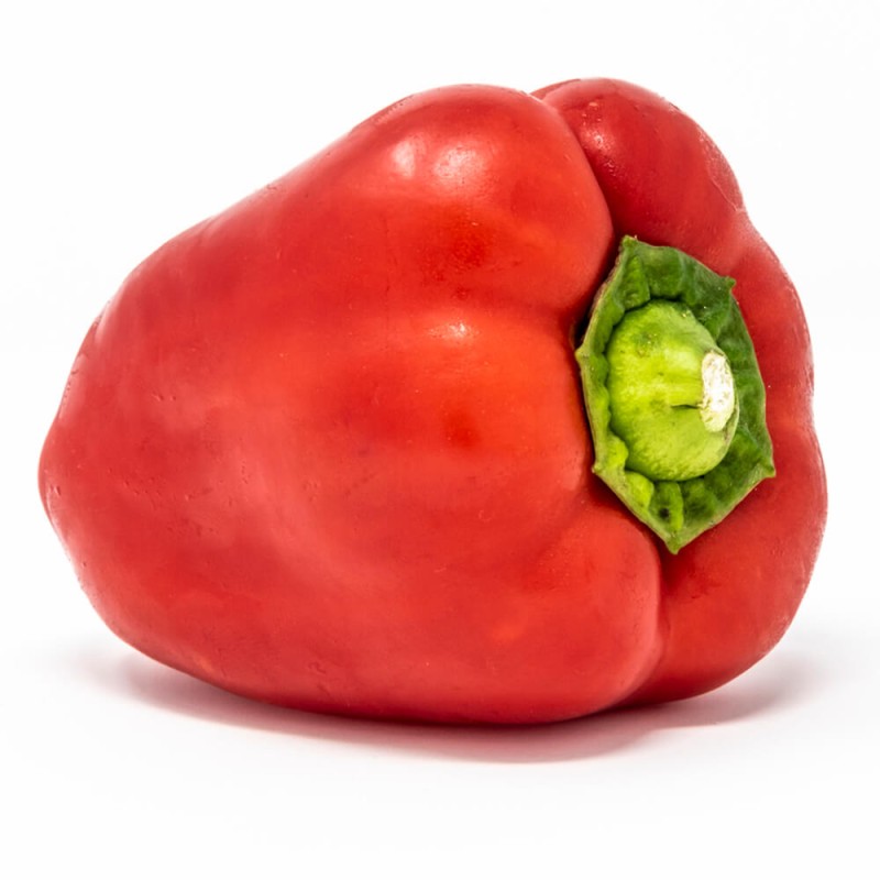 Papryka słodka Roberta (10).jpg