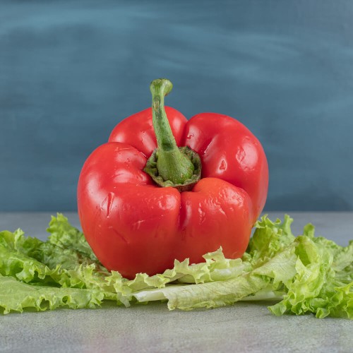 Papryka ROBERTA Czerwona Słodka nasiona L 0,5g