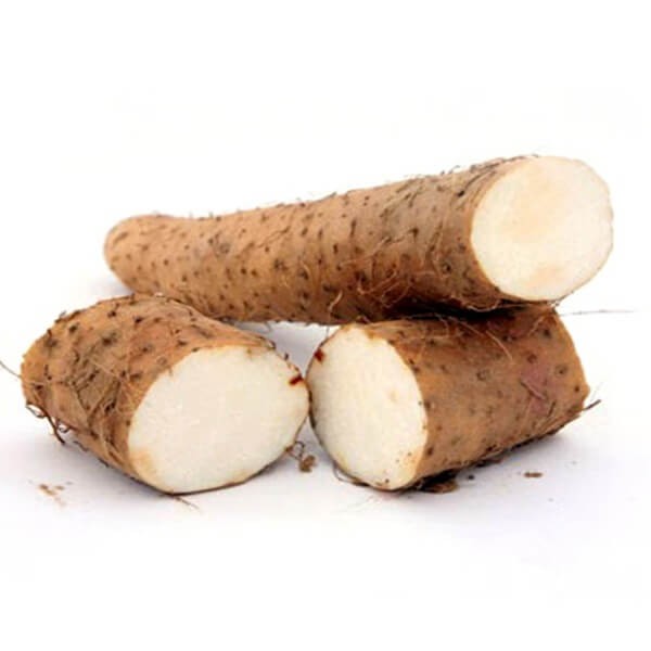 Pochrzyn, Ignam Chiński (Dioscorea batatus) Sadzonka C2 (3) (1).jpg