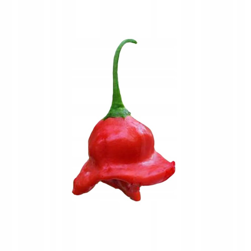 Papryka ostra OKRASNY ZVONEK (4).jpg