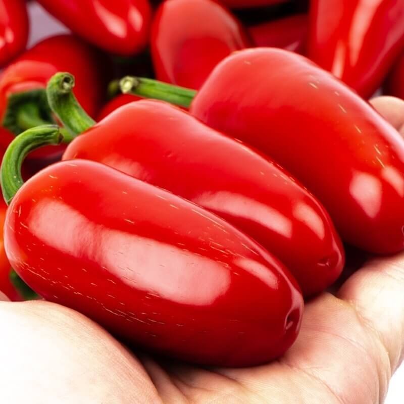 Papryka ostra JALAPENO Czerwona (4).jpg