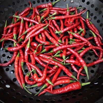 Papryka Ostra Cayenne (3).jpg