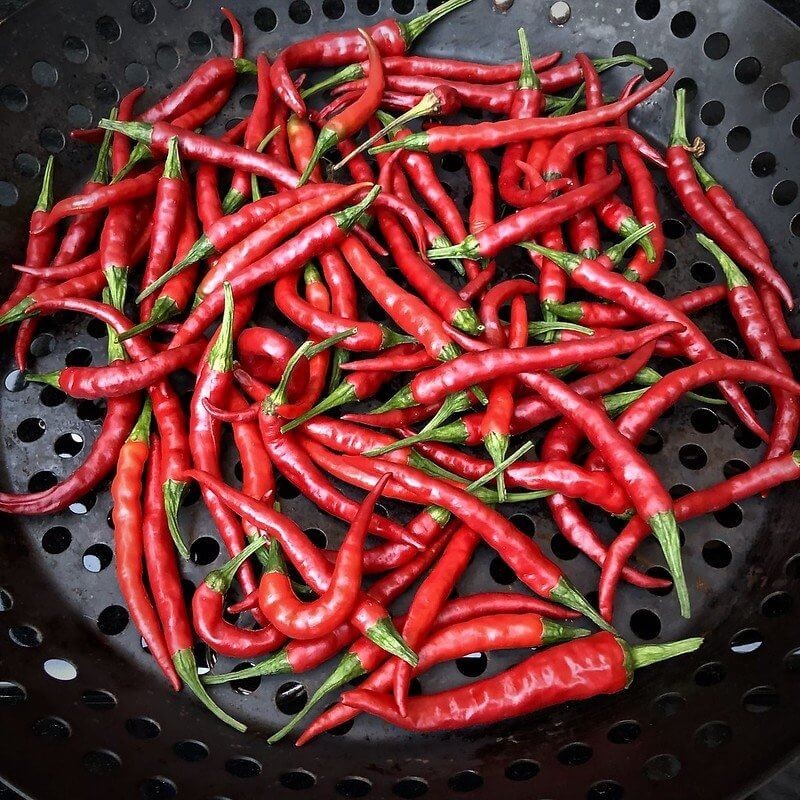 Papryka Ostra Cayenne (3).jpg