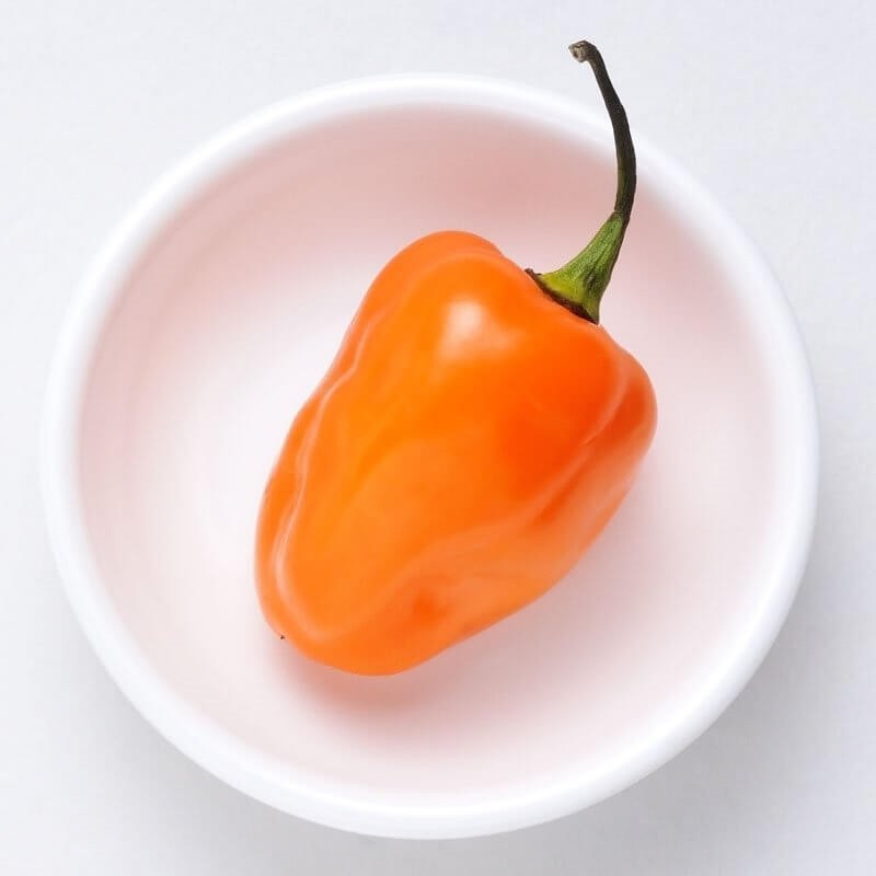 Papryka Chili HABANERO ORANGE (1).jpg