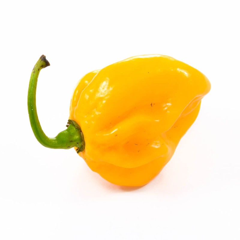 Papryka Chili HABANERO LIMON (2).jpg