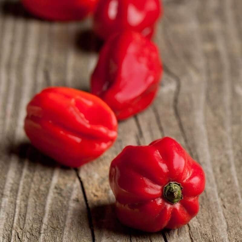 Papryka Chili HABANERO czerwona (3).jpg