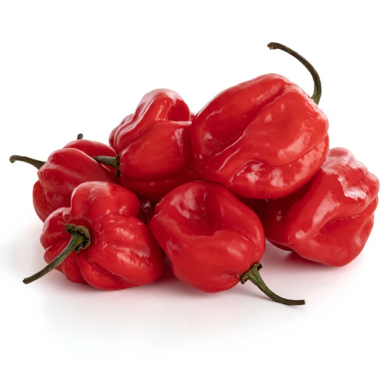 Papryka Chili HABANERO czerwona (4).jpg
