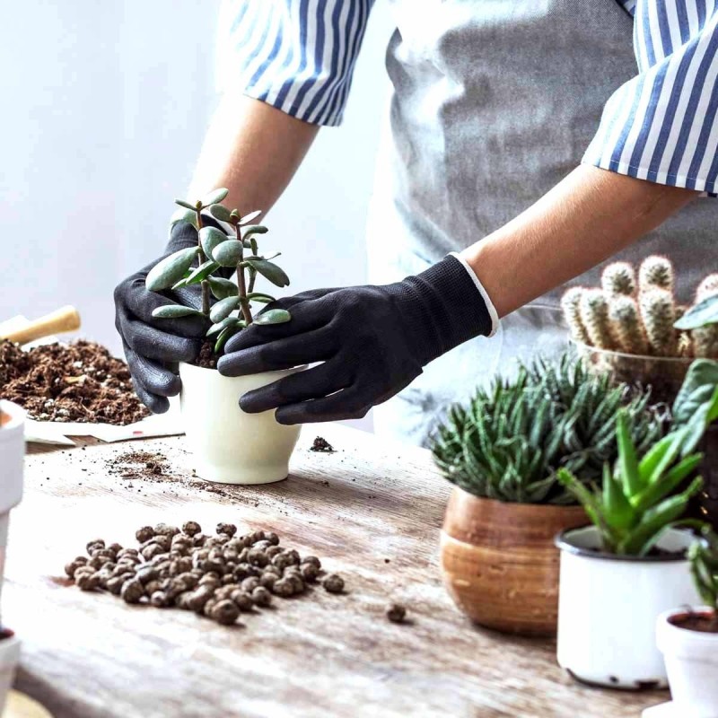 Podłoże do kaktusów i sukulentów 5L (3).jpg