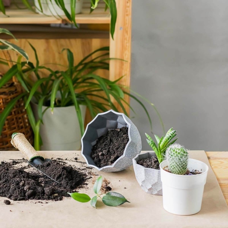 Podłoże do kaktusów i sukulentów 5L (4).jpg