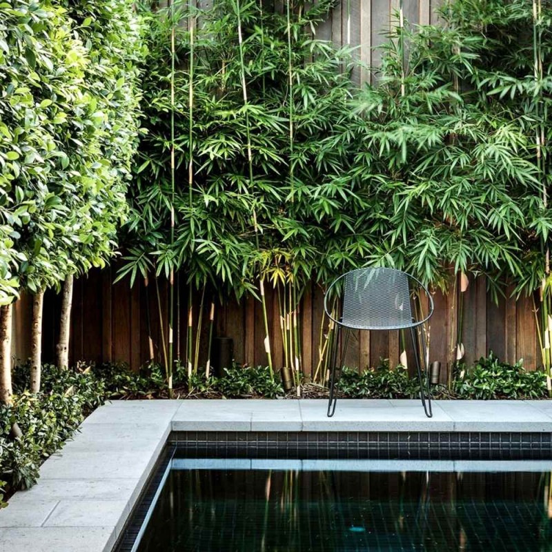 Niezbędny zestaw do sadzenia bambusów w gruncie z nawozem (3).jpg