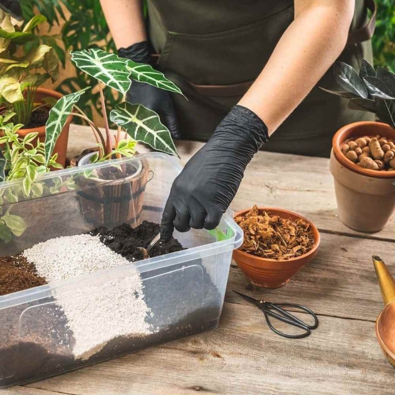 Coco chips Chipsy, zrębki kokosowe - dodatek do podłoża 5l (3).jpg