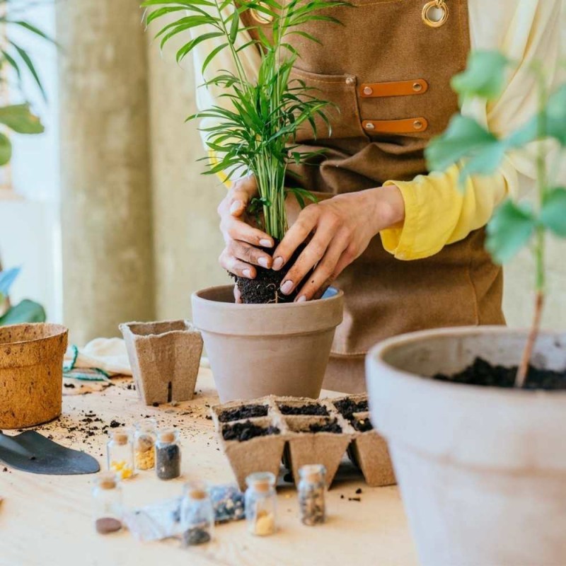 Coco chips Chipsy, zrębki kokosowe - dodatek do podłoża 5l (4).jpg