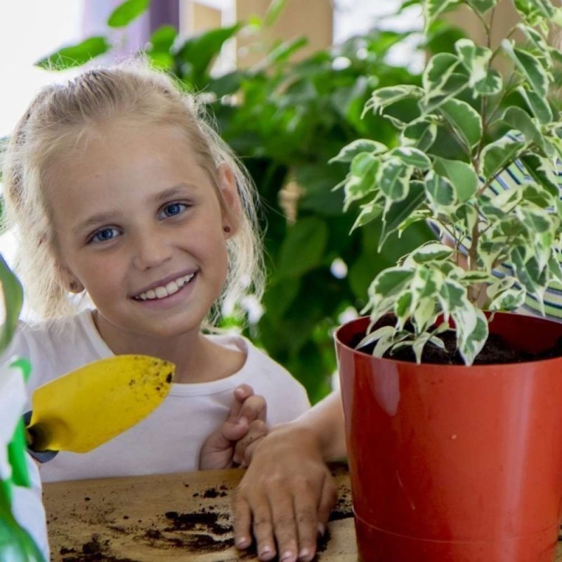 Włókno kokosowe - podłoże do kwiatów 5 litrów (4).jpg