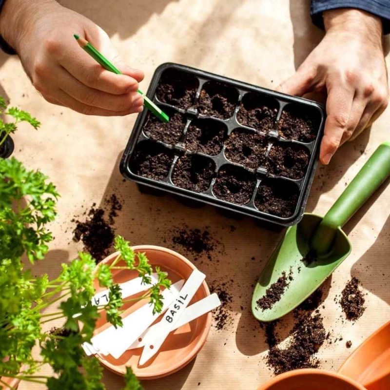 BIO podłoże do siewu i pikowania COMPO 5l (3).jpg