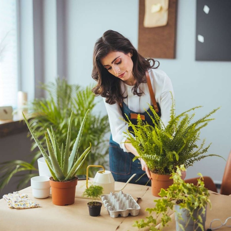 Hydrożel ukorzeniacz magiczna siła nawóz 100g (3).jpg