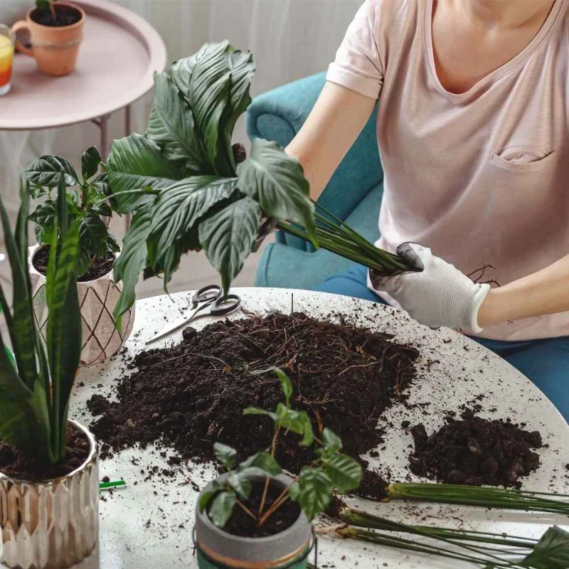 Podłoże COMPO SANA najwyższej jakości 20L (3).jpg