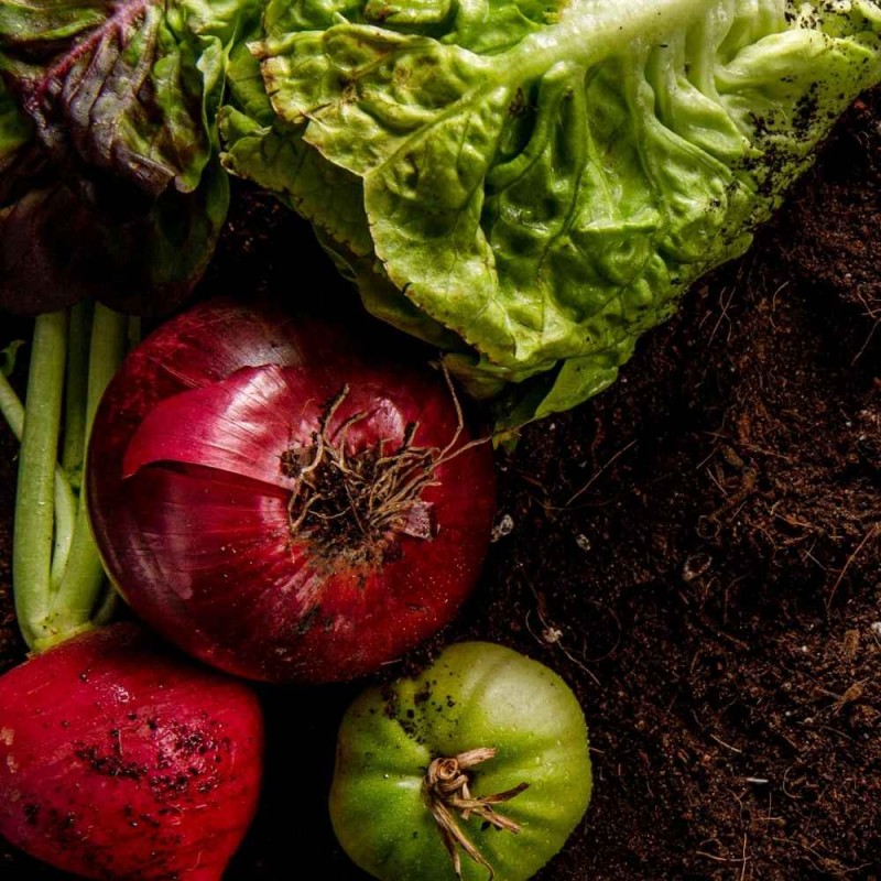 BIO Podłoże uniwersalne COMPO 15 L (3).jpg