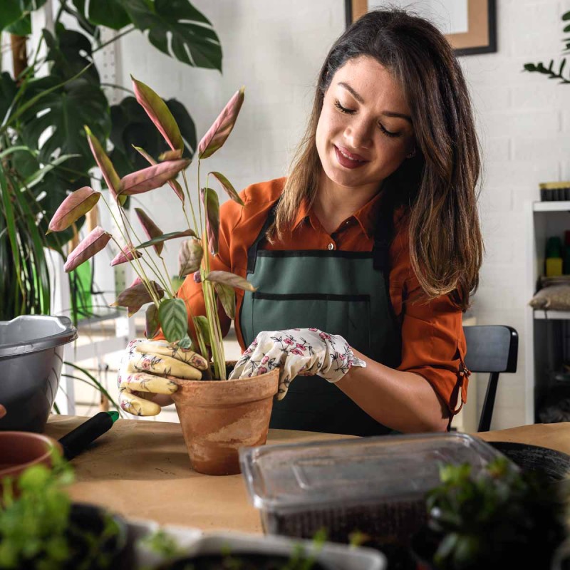 Podłoże COMPO SANA najwyższej jakości 25L (4).jpg