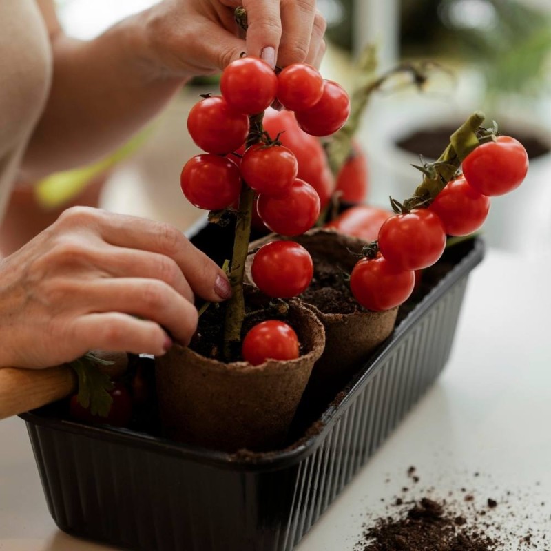 BIO podłoże do pomidorów i innych warzyw COMPO 15L (4).jpg