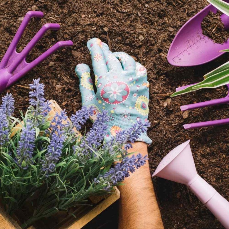 Podłoże do lawendy, lilaków i clematisów COMPO 10L (3).jpg